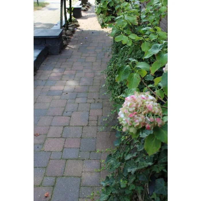 Cobblestones Indian Summer,tumbled.Price
