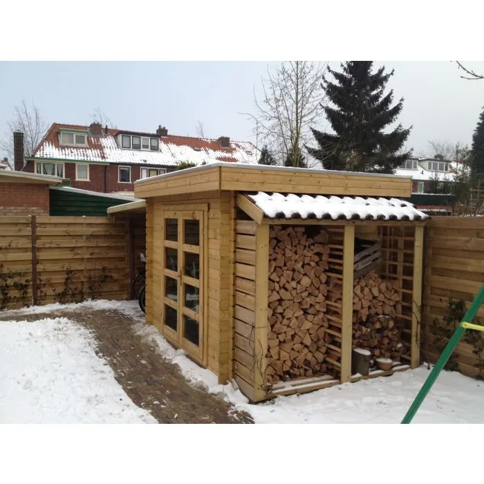 Garden shed flat roof Modern 300x250cm / 28mm