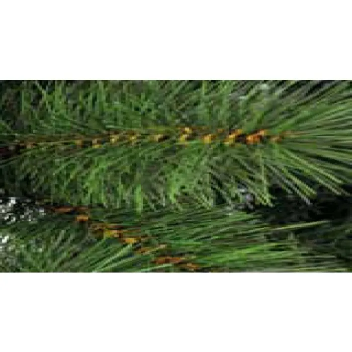 Christmas tree artificial 210cm
