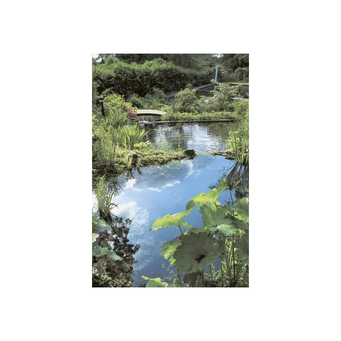 Preformed pond 140x180cm/500ltr