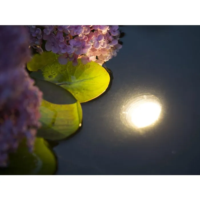 Pond lights LED60