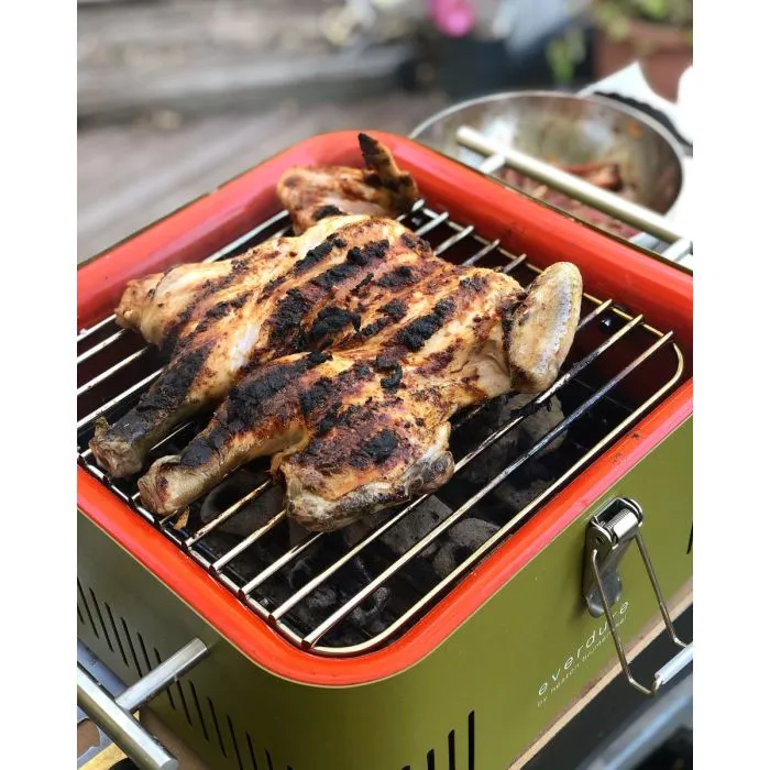 Barbecue to go, portable barbecue