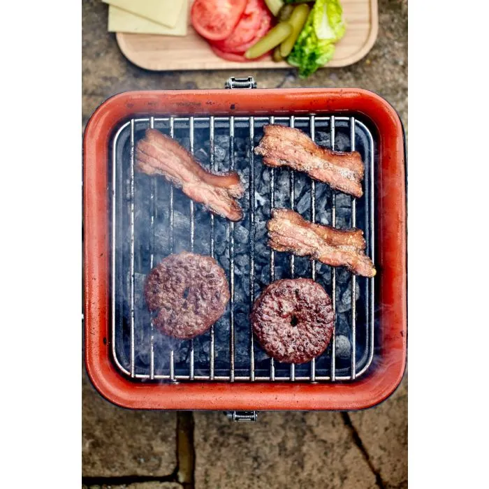 Barbecue to go, portable barbecue
