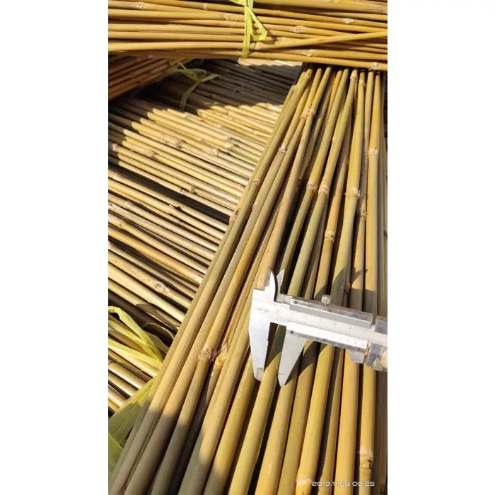 Bamboo fencing screening 2x5m