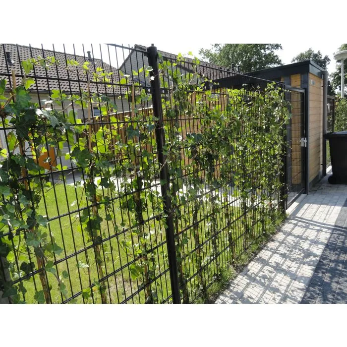 Double Wire Fence Panel 83x251cm PVC coated