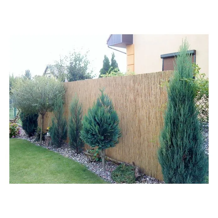 Reed fencing 1x5m