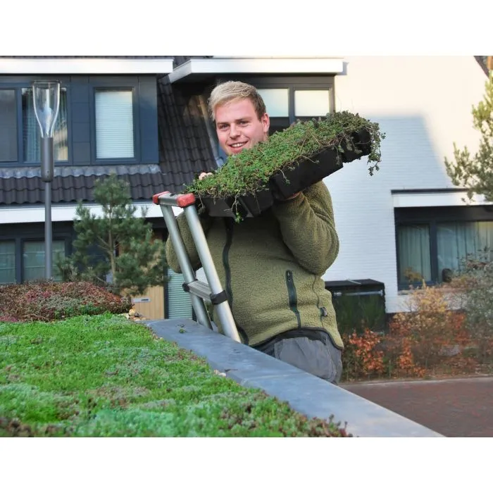 Green roof Sedum click system 37x57cm