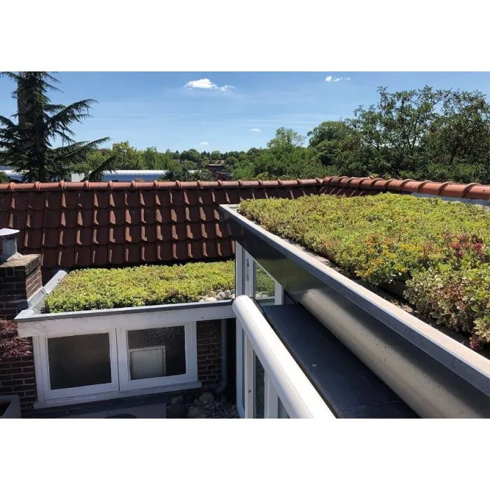 Green roof Sedum click system 45x50cm ready-made