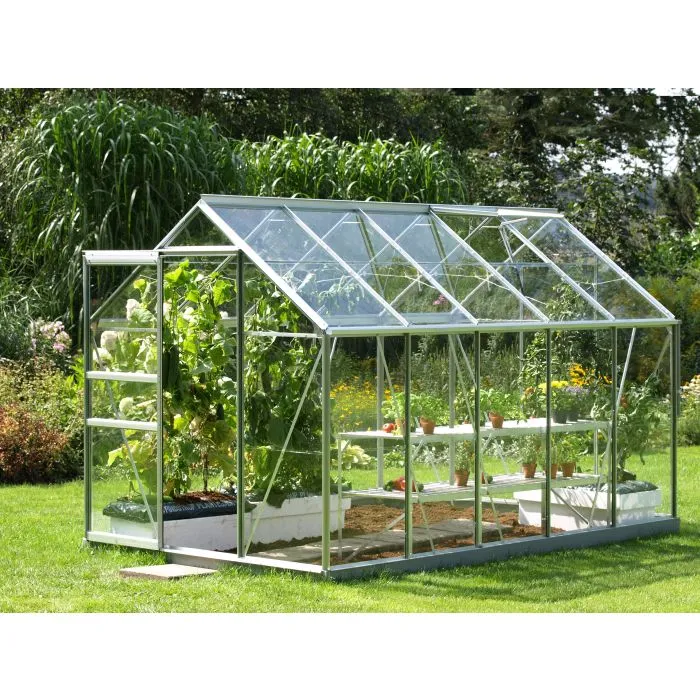 Greenhouse Juventus 
