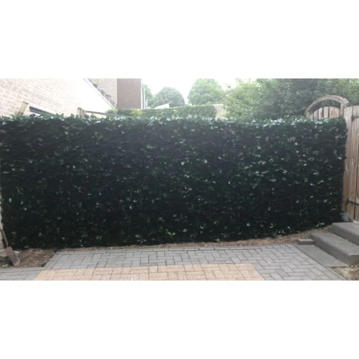 Artificial Hedge hedera fencing 1x3m