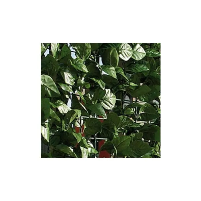 Artificial Hedge hedera fencing 1,5x3m