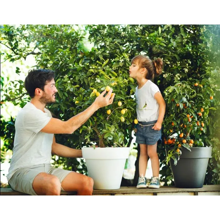 Flower pot planter round ø100cm