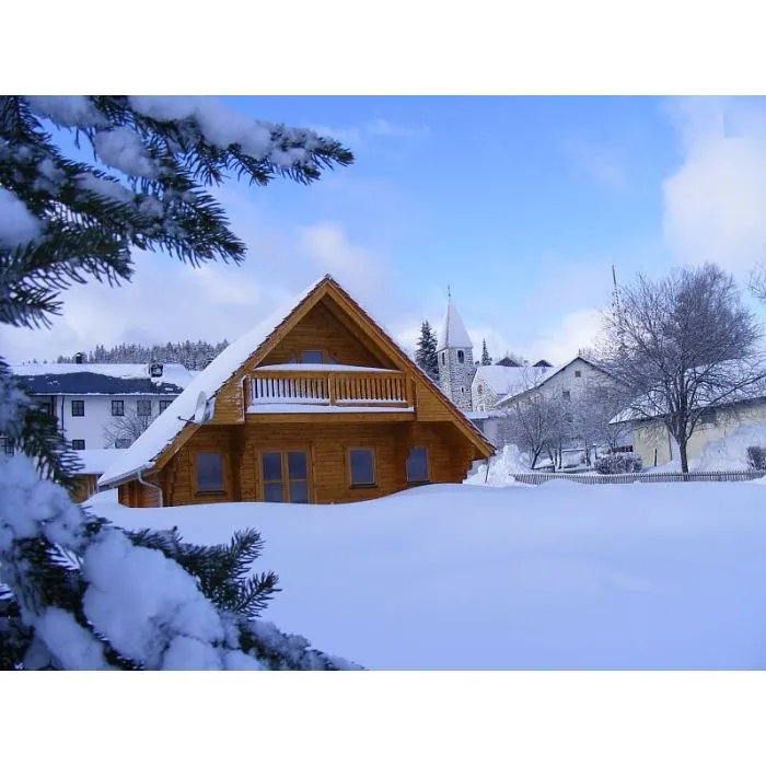 Lodge cabin Helsingborg  8.8x7.8m (94mm)