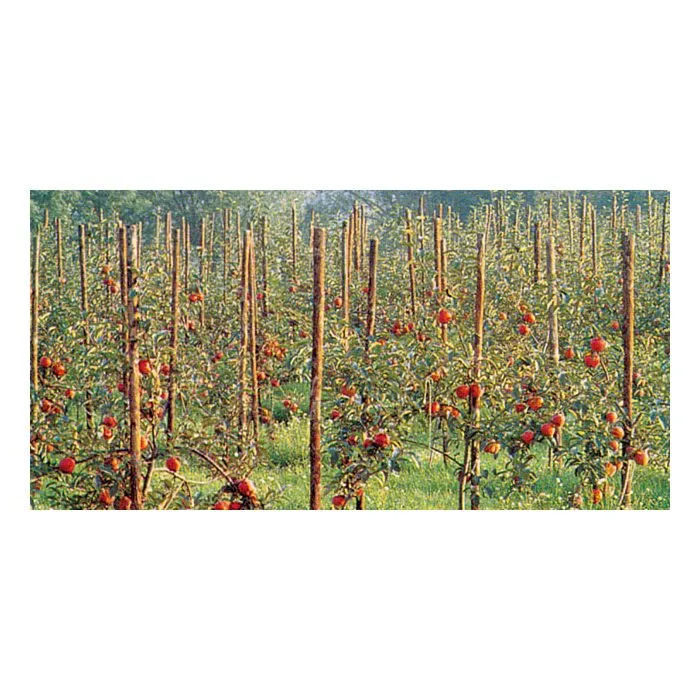 Palisade picket cylindrical ø12x150cm