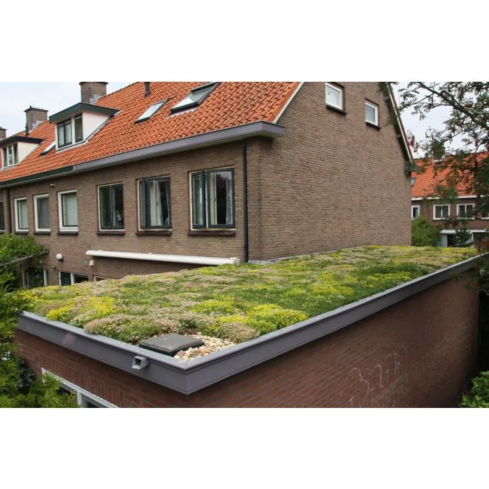 Green roof Sedum click system 45x50cm ready-made