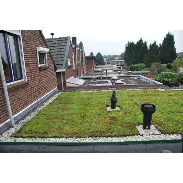 Green roof Sedum click system 37x57cm