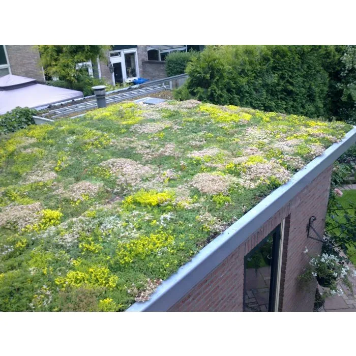 Green roof Sedum click system 45x50cm ready-made