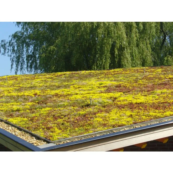 Green roof Sedum click system 45x50cm ready-made