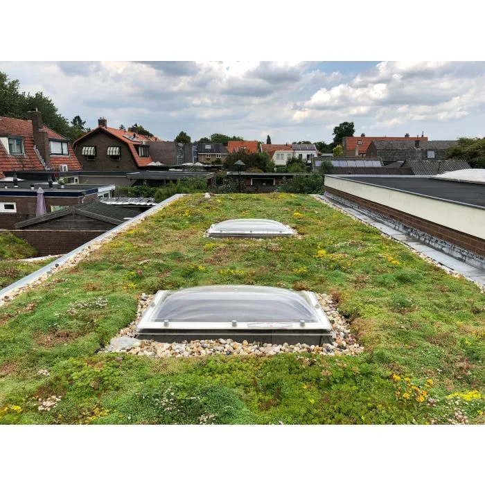 Green roof Sedum click system 45x50cm ready-made