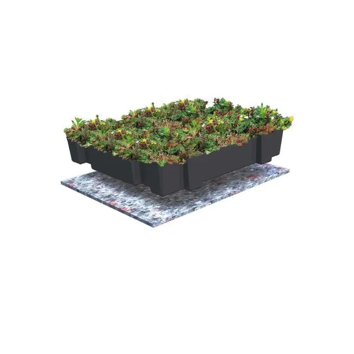 Green roof Sedum click system 45x50cm ready-made