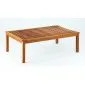 Garden table lounge
