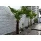 Concrete fence Fencestone 200x231cm double sided
