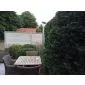 Concrete fence Mountain 200x193cm double sided