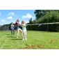 Tug of war set