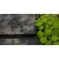 Garden paving slabs Old Dutch tiles 120x120cm