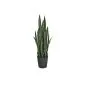 Artificial plants Sansevieria 105cm
