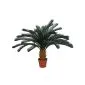 Artificial plants Cica 125cm