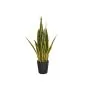 Artificial plants Sansevieria 105cm