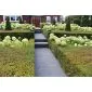 Natural hardstone Bluestone tiles 60x60x3cm