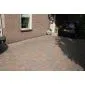 Cobblestones Indian Summer,tumbled.Price