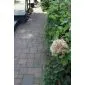 Cobblestones Indian Summer,tumbled.Price