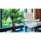 Artificial plants Palm 120cm