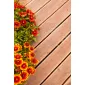 Decking board Douglas 400cm (24x138mm) impregnated colorless