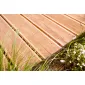 Decking board Douglas 300cm (24x138mm)