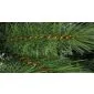 Christmas tree artificial 210cm