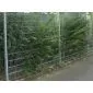 Double Wire Fence Panel 63x251cm