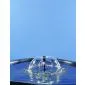 Fountain pumps 900L