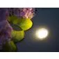 Pond lights LED60