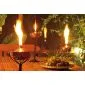 Garden torch steel white