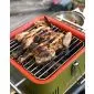 Barbecue to go, portable barbecue