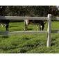 Concrete post post and rail 200cm