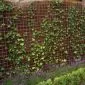 Concrete reinforcement mesh hot dip galvanized 180x180cm 5/150mm