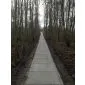 Concrete tile grey paving slabs 120x80x12cm