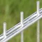 Double Wire Fence Panel 163x251cm