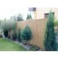 Reed fencing 1x5m