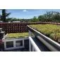 Green roof Sedum click system 45x50cm ready-made
